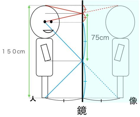 全身鏡位置|みんなが鏡を見るのはどんな時？鏡の置き場所事情